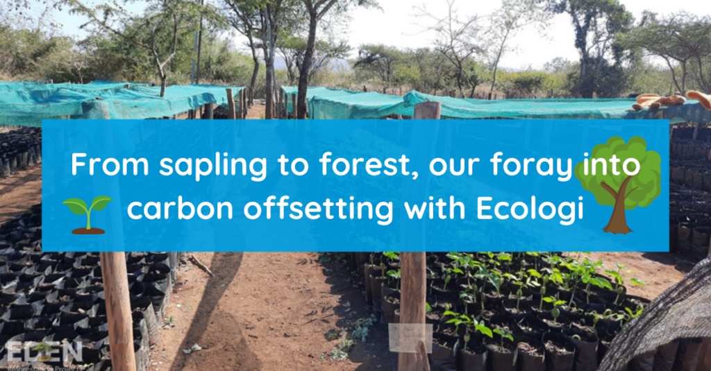 From sapling to forest, our foray into carbon offsetting with Ecologi