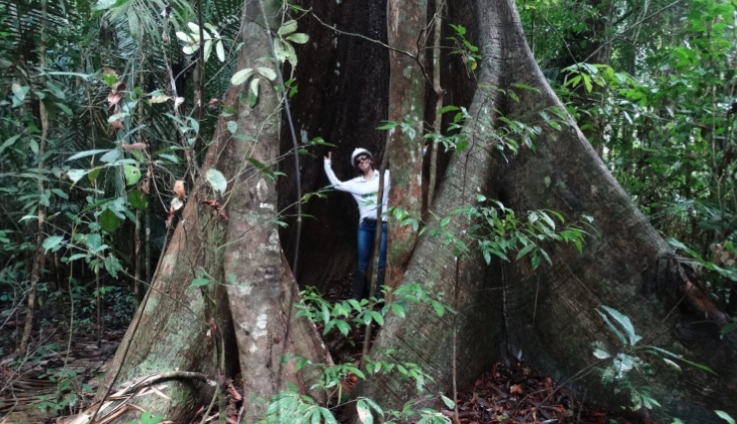 Ecologi Project: Rainforest protection in central Brazil