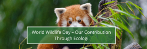 World Wildlife Day – Our Contribution Through Ecologi