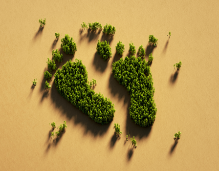 Corporate Social Responsibility Carbon footprint